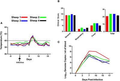 Comprehensive immune profiling reveals that Orbivirus infection activates immune checkpoints during acute T cell immunosuppression
